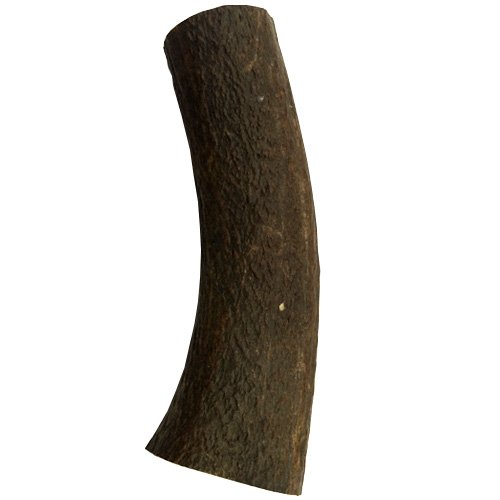 Hertengewei XL