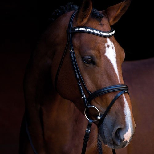 Kerbl Hoofdstel Shine-On leer pony 323555