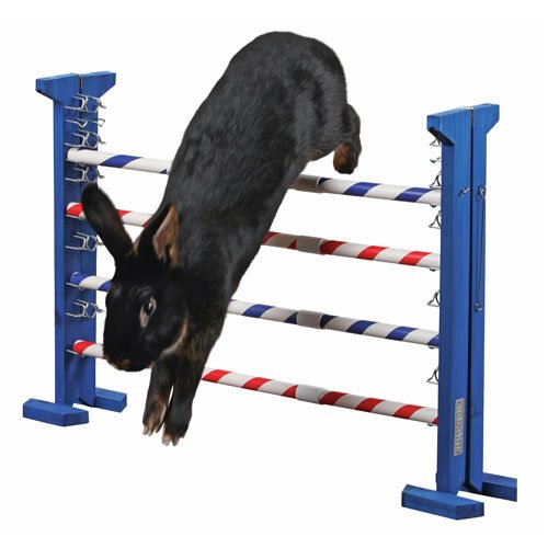 Afbeelding Konijn-Hop Combi jump door Wohi.nl