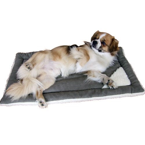 Afbeelding Ligkussen Cleo 36x22cm. door Wohi.nl