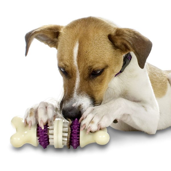 Afbeelding Busy Buddy Bristle Bone voor de hond Large door Wohi.nl