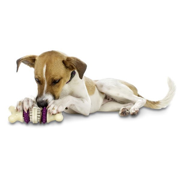 Busy Buddy Bristle Bone voor de hond Medium