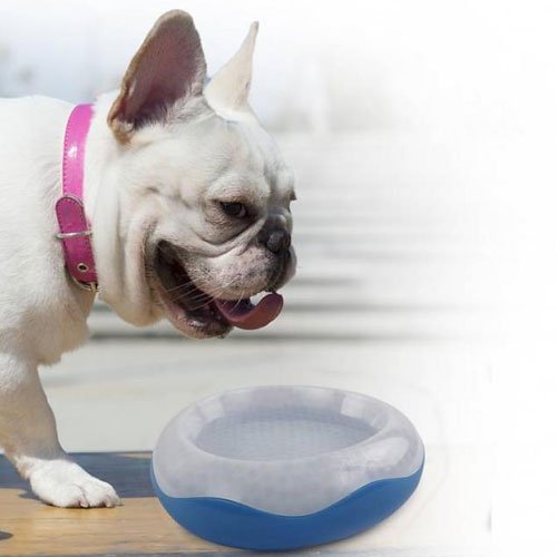 Chill Out Cooler drinkbak 15cm.