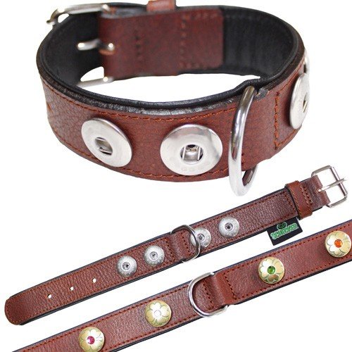 Halsband Bruin 50cm x 32mm