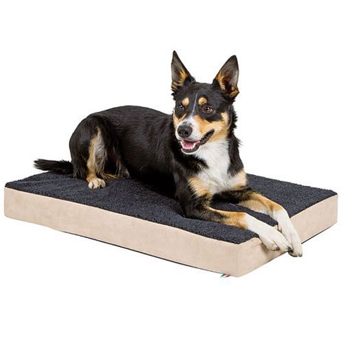 Afbeelding Kerbl Hondenmatras met traagschuim 80x50 cm beige en grijs 80326 door Wohi.nl