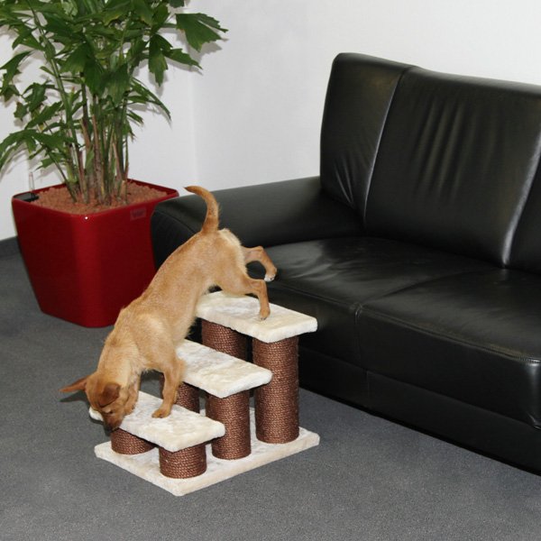 Afbeelding Hondentrap Easy Climb door Wohi.nl