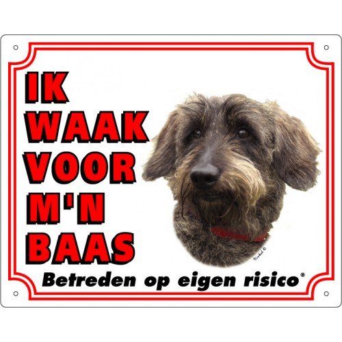 Waakbord Teckel Ruwharig