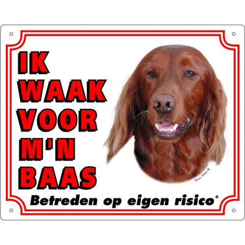 Waakbord Ierse Setter