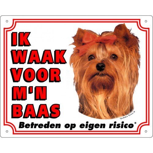 Waakbord Yorkshire Terrier