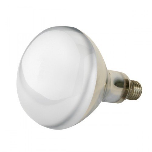Kerbl Infrarood spaarlamp 150W wit