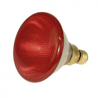 Kerbl Infrarood spaarlamp 175W rood