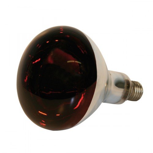 Kerbl infraroodlamp 250W gehard rood
