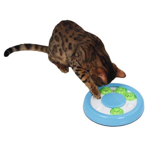 Denk- en Leerspeeltje PAW