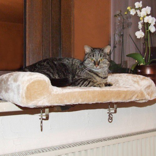 Afbeelding Katten Vensterbankmand beige door Wohi.nl