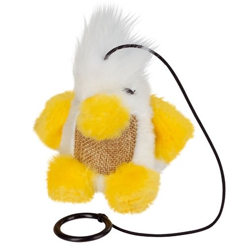 Vogel Chico aan touw