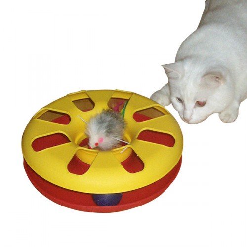 Afbeelding Racing Wheel door Wohi.nl