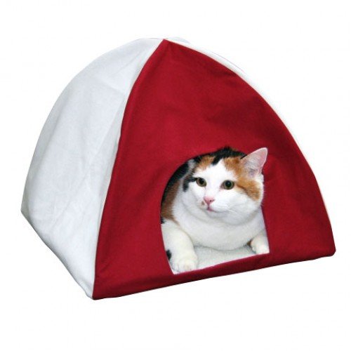 Kattentent Tipi