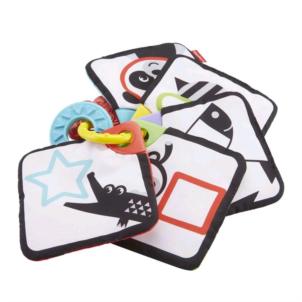 Fisher Price 1 Tot 5 Leerkaarten K5 (4069090)