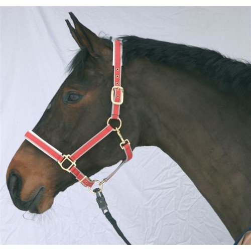 Halster Exclusiv Rood