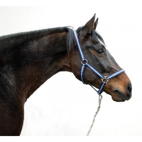 Halster Hippo Marine-Blauw
