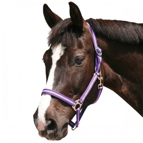 Halster Hippo Paars-Violet