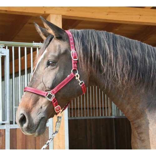 Halster Mustang Rood-Zwart