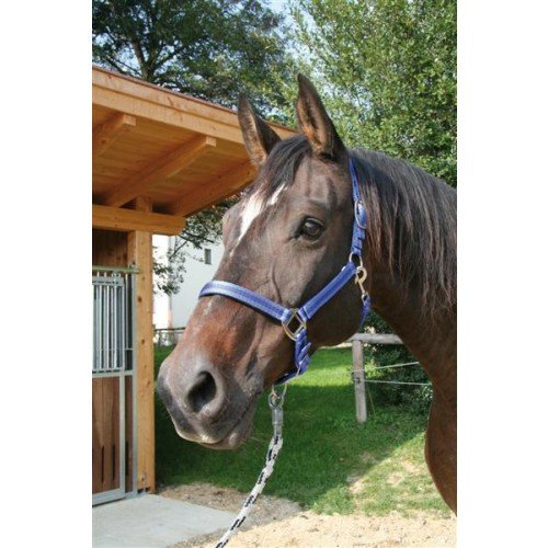 Halster Mustang Blauw-Zwart