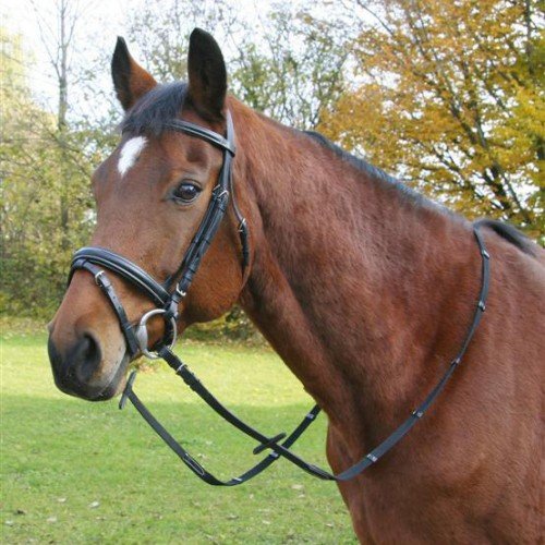 Kerbl Hoofdstel leer pony Zweeds model 321715
