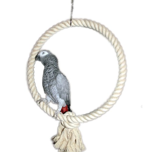 Afbeelding Speelring Touw XL naturel door Wohi.nl