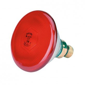 Afbeelding Philips Warmtelamp PAR38 175Watt rood door Wohi.nl