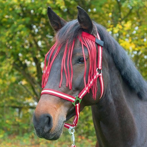 Vliegenfrontriem Rood