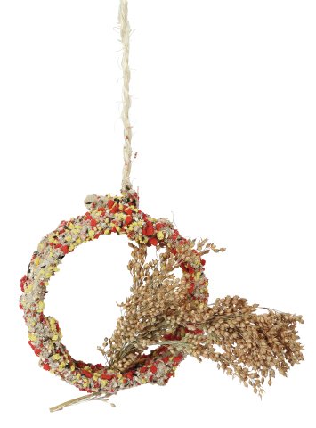 Native Snacks - Ring