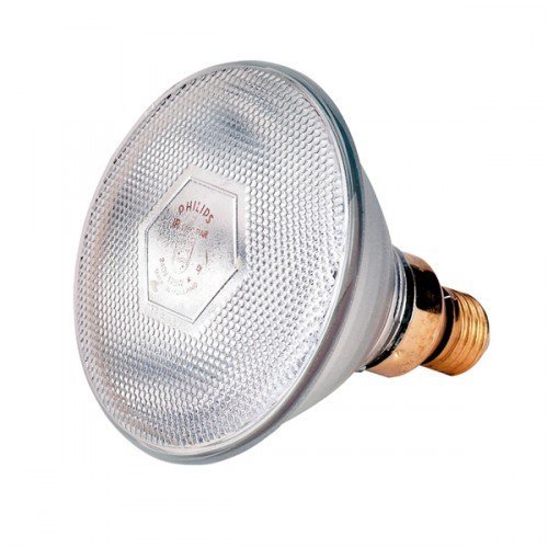 Afbeelding Philips Warmtelamp PAR38 100Watt wit door Wohi.nl